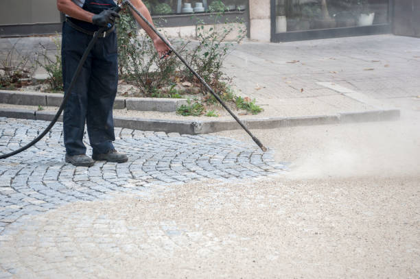 Best Sidewalk and Walkway Cleaning  in Bullard, TX